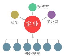 服務貓 軟件開發(fā)與信息技術(shù)咨詢服務的專業(yè)伙伴